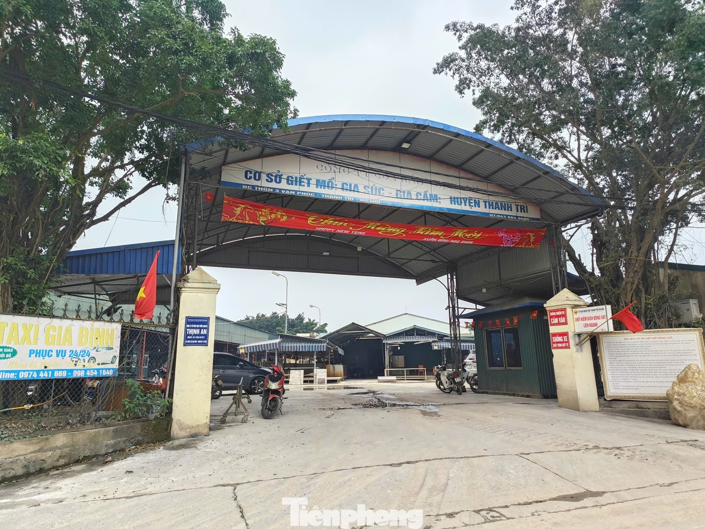 Cong ty Cuong Phat,  Doanh nghiep Cuong Phat,  Giam doc Cuong Phat,  Ke toan Cuong Phat,  Lon bi benh anh 2