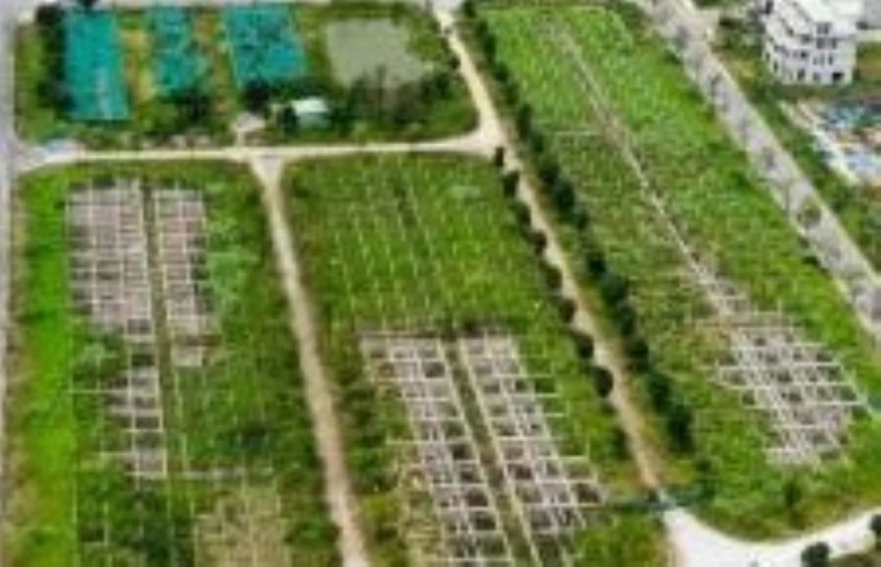 Dieu tra mo rong vu lua dao mua ban dat nen tai Cong ty Dai Phuc Real hinh anh