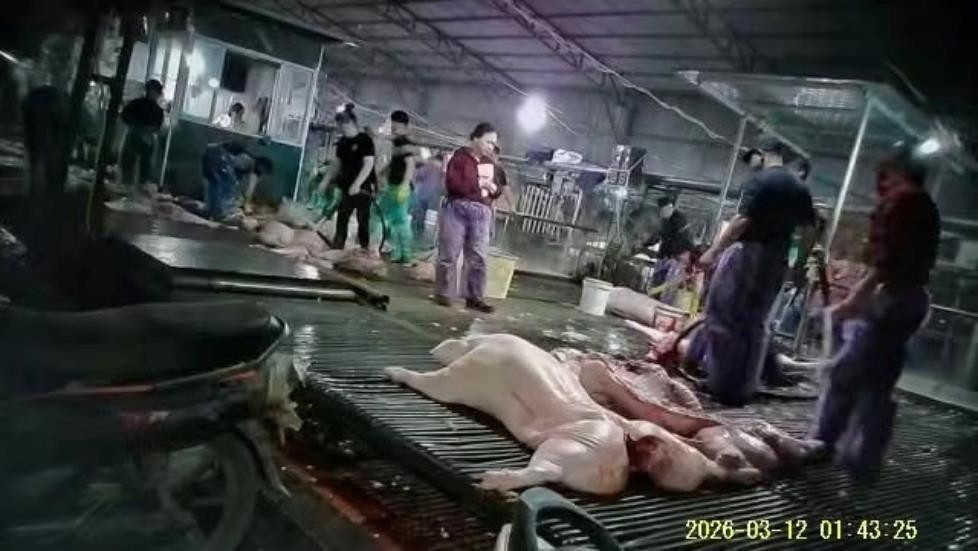 300 tan lon benh,  Cong ty Cuong Phat,  Doanh nghiep Cuong Phat,  Giam doc Cuong Phat anh 1