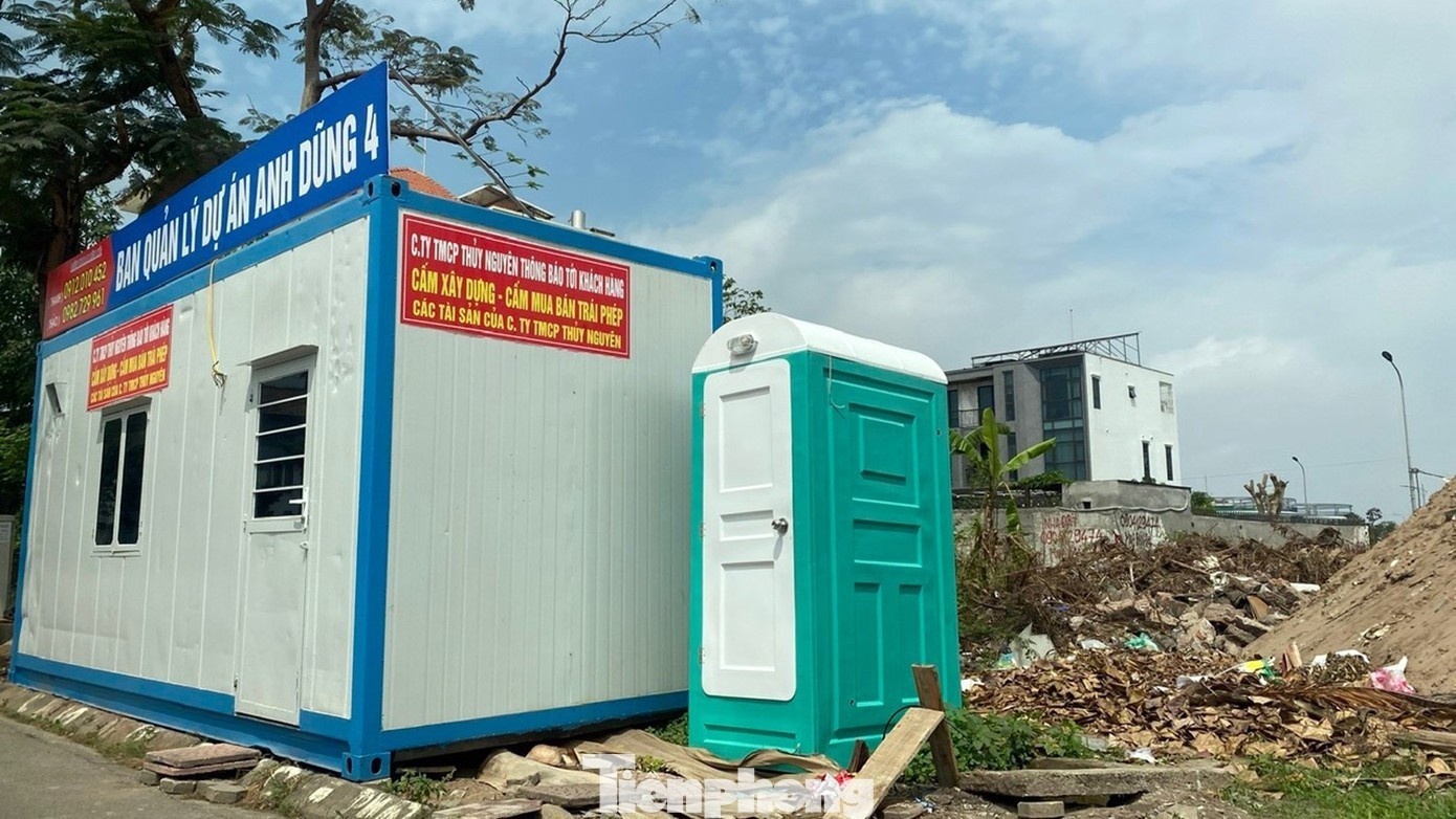 Dat vang Hai Phong anh 1