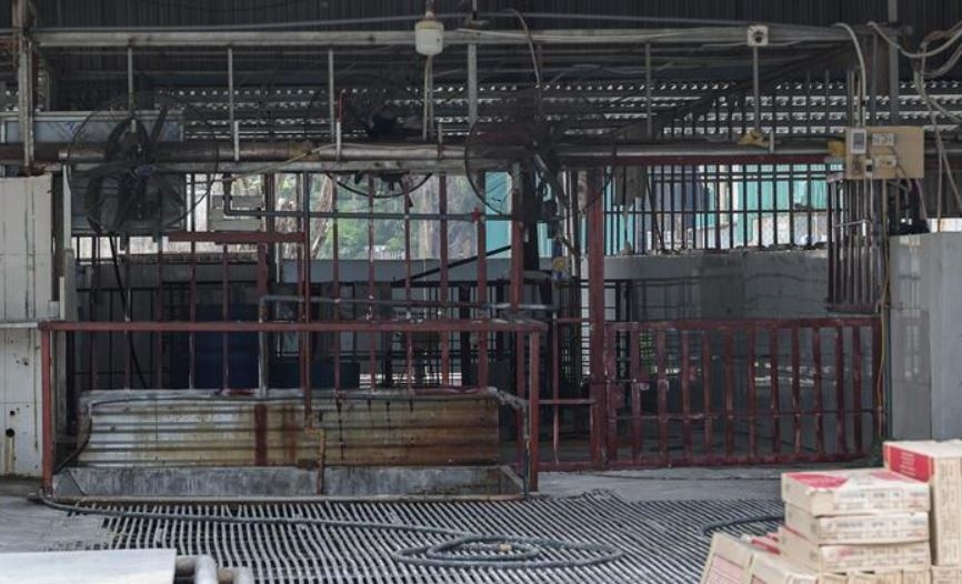 Can canh lo mo tuon gan 300 tan lon benh vao truong hoc o Ha Noi hinh anh