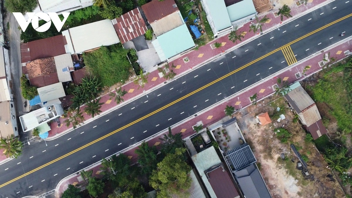 duong Le Chi Dan anh 2