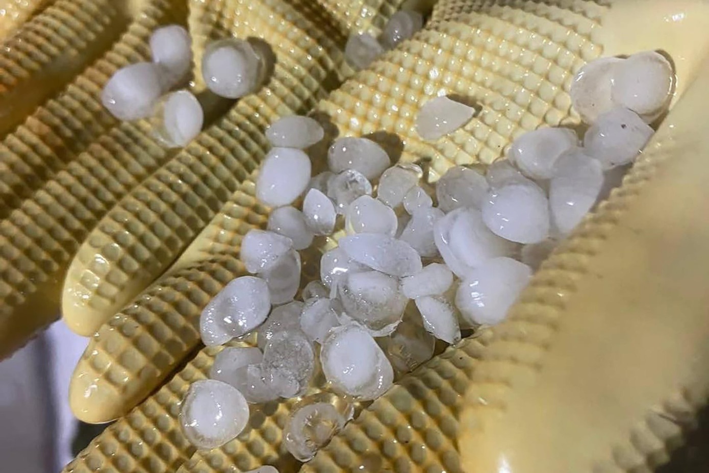 Mua da, giong loc o Quang Ninh khien hai nguoi tu vong hinh anh