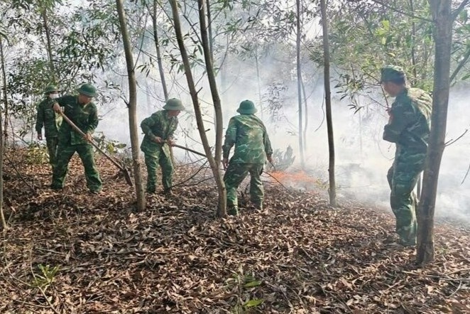 Chay rung giua nang nong, hon 1,5 ha tram o Quang Tri bi thieu rui hinh anh