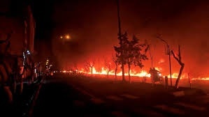 Ten lua van phong di sau lenh ngung ban 2 tuan hinh anh