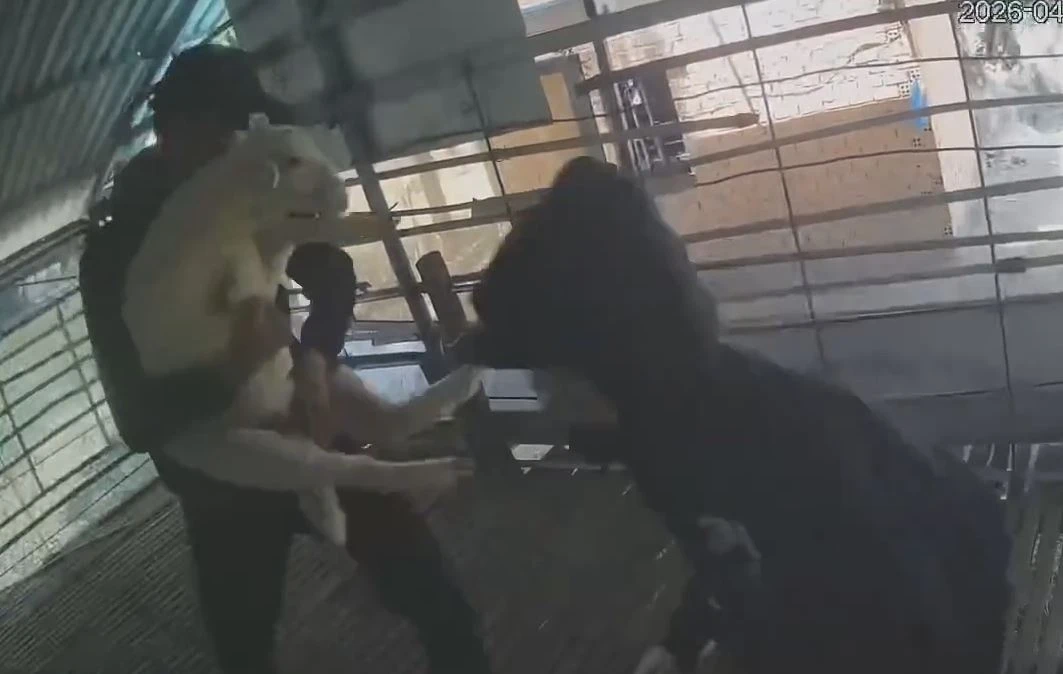 Nhom thieu nien trom 3 con cuu cua nguoi dan hinh anh