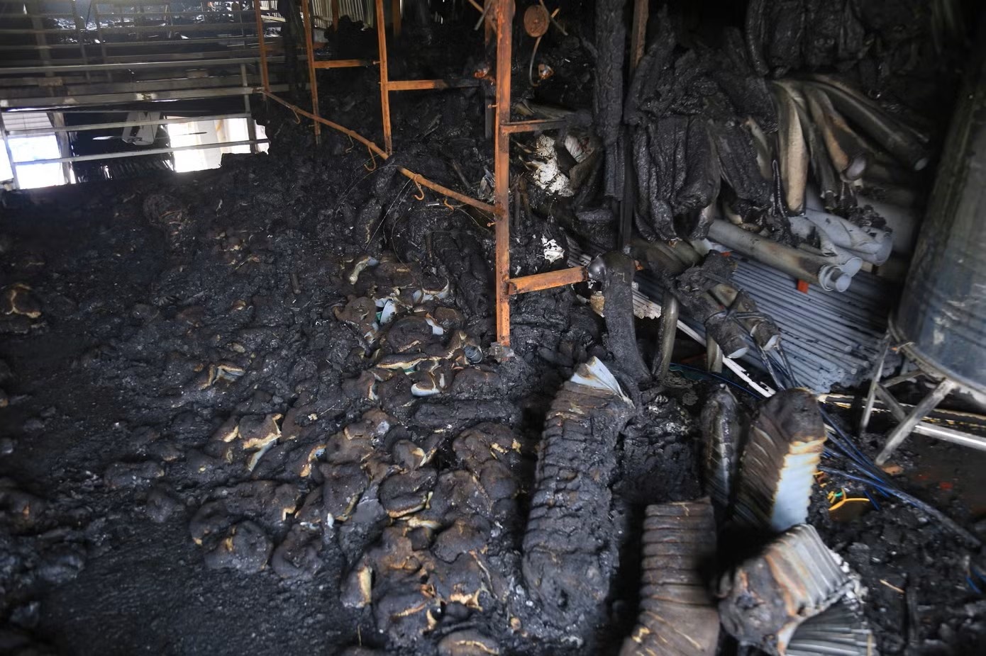 Chay Lau Cua Song anh 2