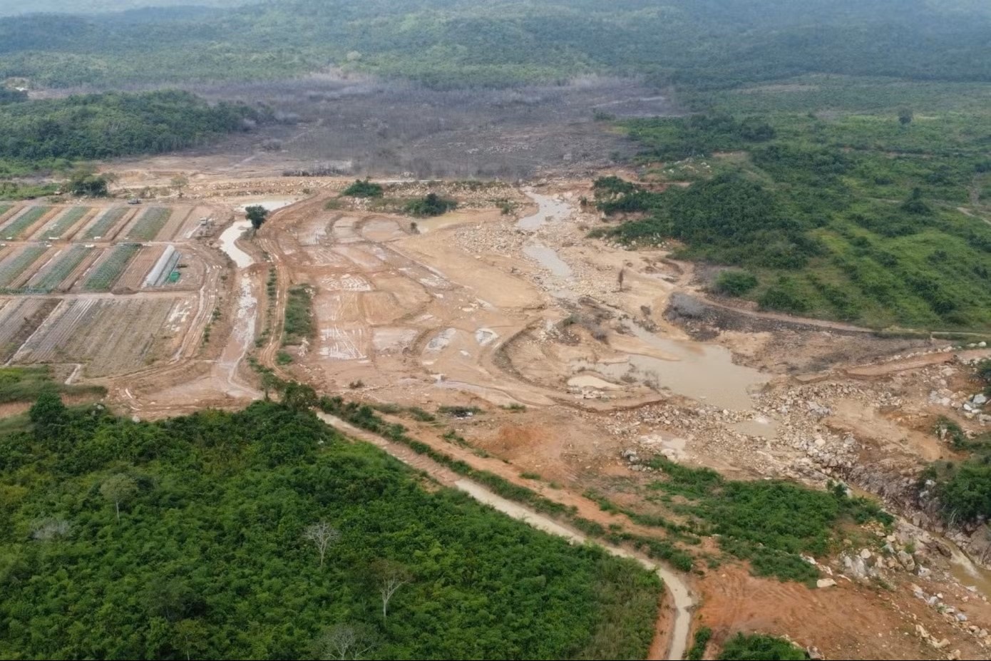 Tin moi vu vo ho Tan Lai lam be gai tu vong hinh anh