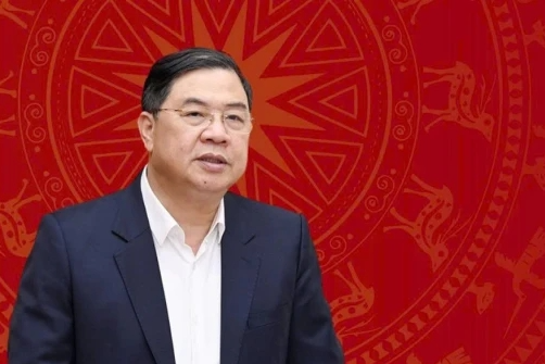 Thu tuong Pho thu tuong anh 3