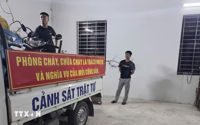 cay Muoi hong,  Ninh Binh anh 1