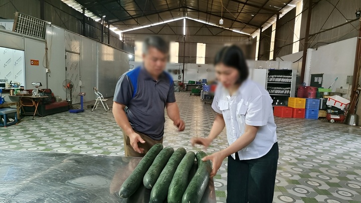 Tiet lo 'hoa hong' cho hieu truong de tuon thit lon benh vao truong hinh anh