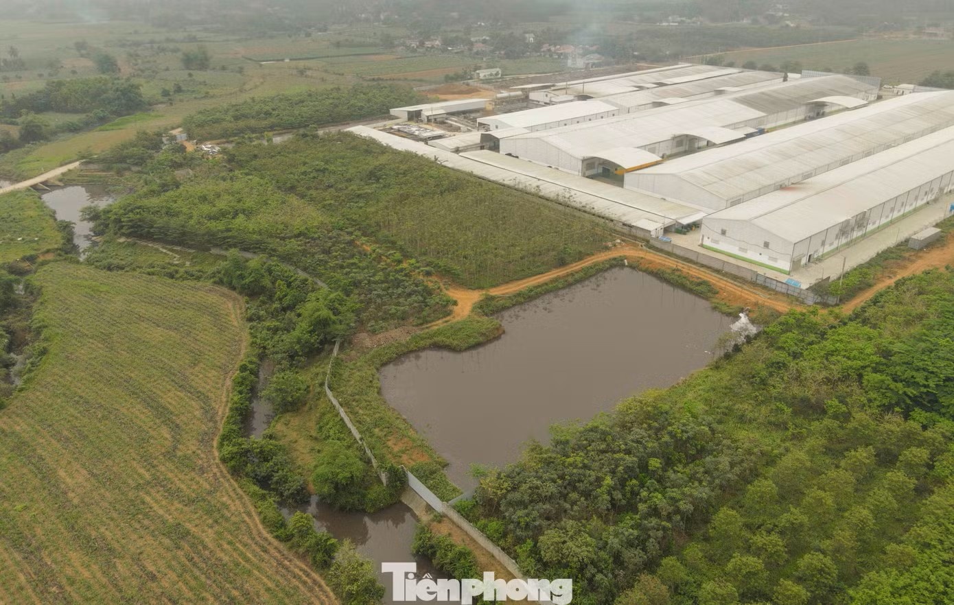 Nuoc may mau tim anh 2