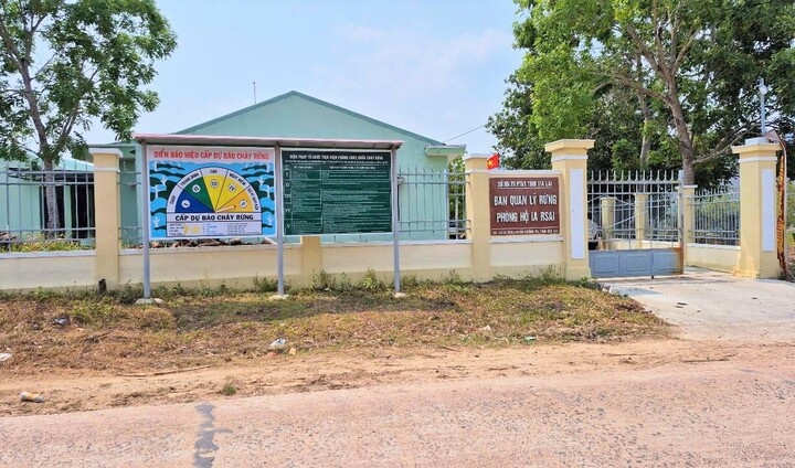 Bat tam giam mot truong ban quan ly rung phong ho o Gia Lai hinh anh