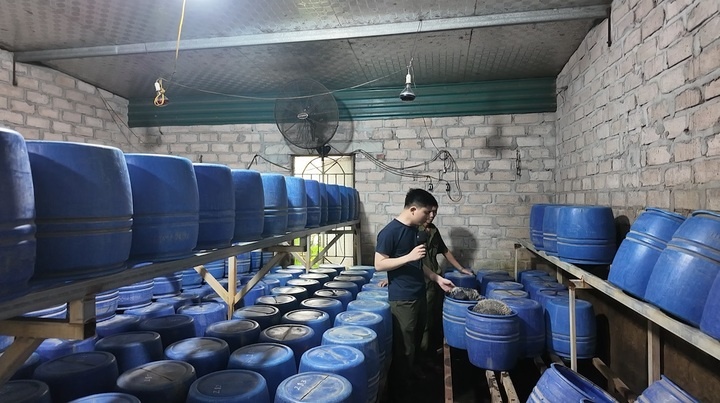 Triet xoa co so,  Dung chat cam,  12 tan gia do anh 2