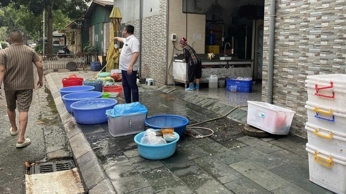 Ho kinh doanh trau,  Thuy Hang,  nha G1BT7,  KDT Viet Hung,  Chu oto Hop Luc,  DN oto Hop Luc,  Gdoc oto Hop Luc anh 1