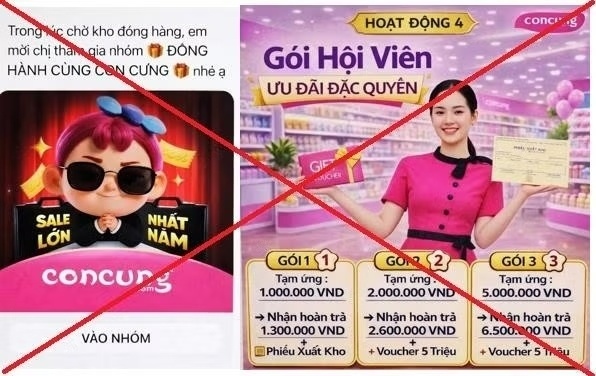 Nguoi phu nu 'bay' gan 1 ty khi bi lua tham gia nhom mao danh Con Cung hinh anh