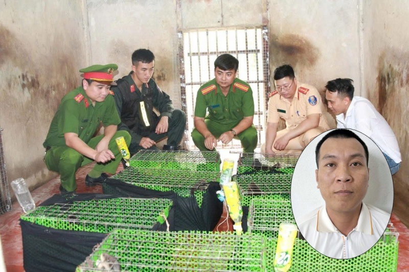 Duong day mua ban, van chuyen dong vat nguy cap, quy hiem hinh anh