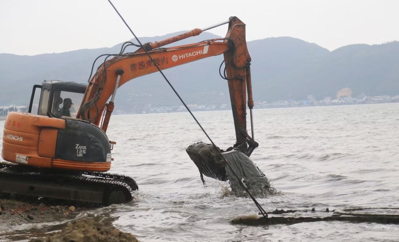 Truc vot vat the giong xac xe tang tren bien Quy Nhon hinh anh