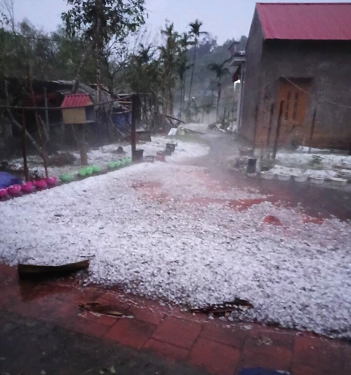 Mua da trang xoa, dong loc 'xe toac' nha xuong o Thai Nguyen hinh anh