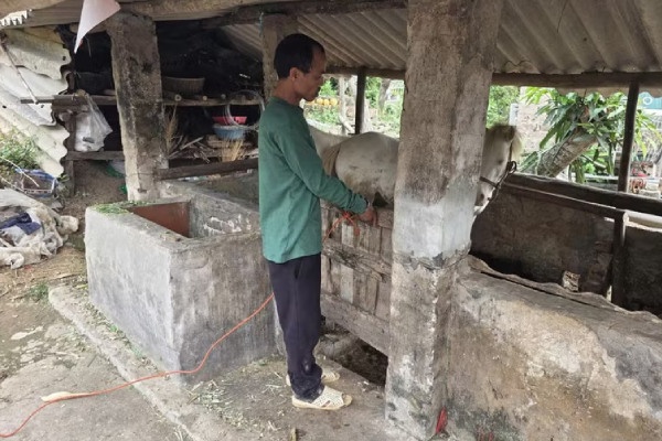 Truy bat thanh cong doi tuong trom ngua bach hinh anh