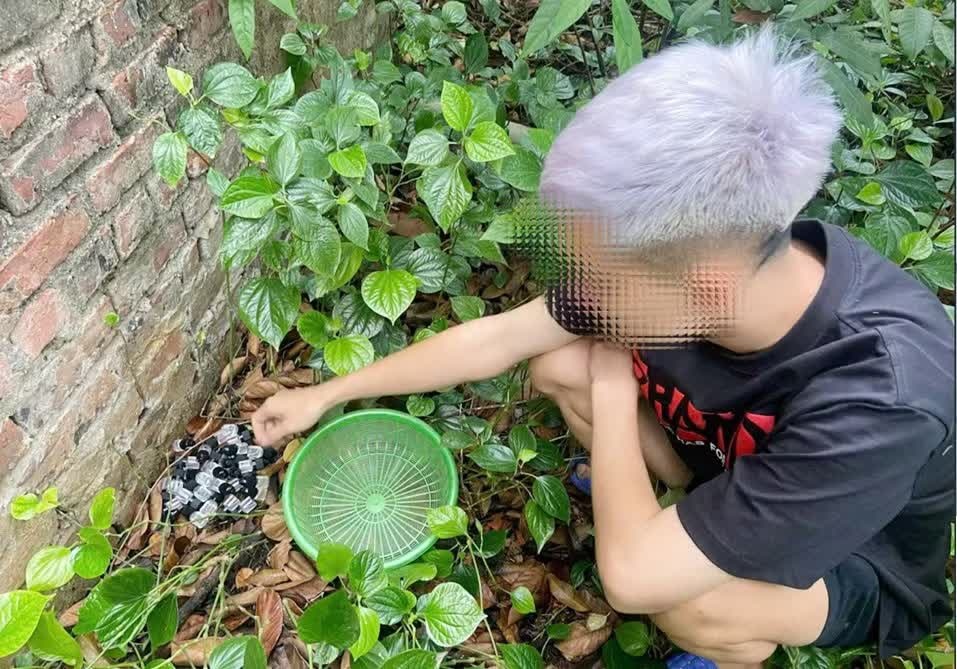 dau thuoc la,  gia tinh dau anh 2