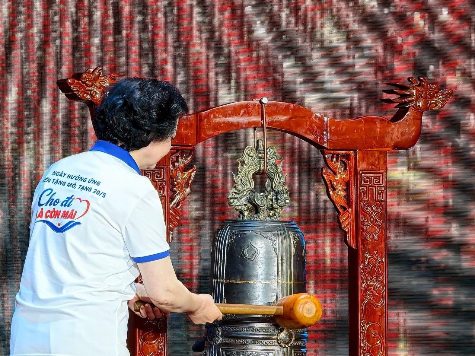 Nhung hoi chuong tri an hinh anh