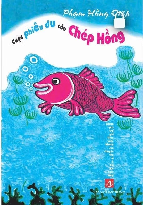 Chep Hong anh 3