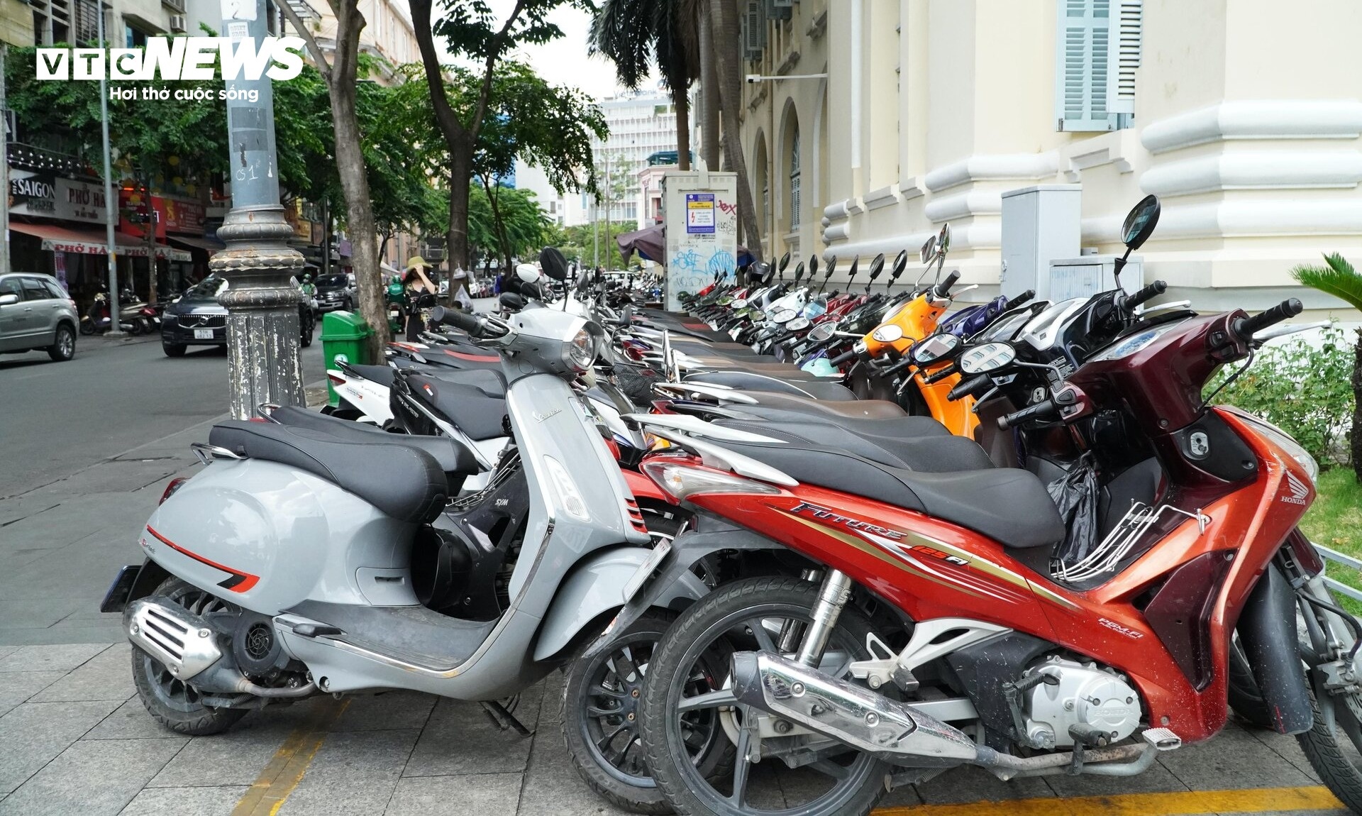 phuong xa kieu mau anh 3
