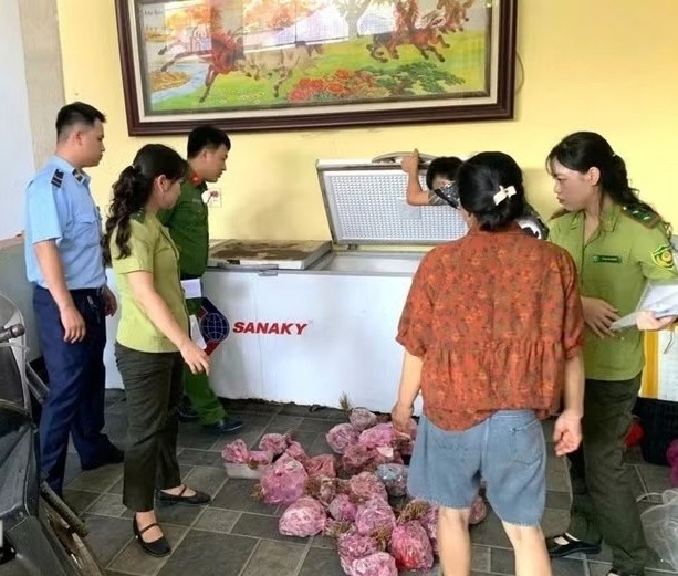 Phat hien, thu giu 290 ca the co huong cap dong cho tieu thu hinh anh