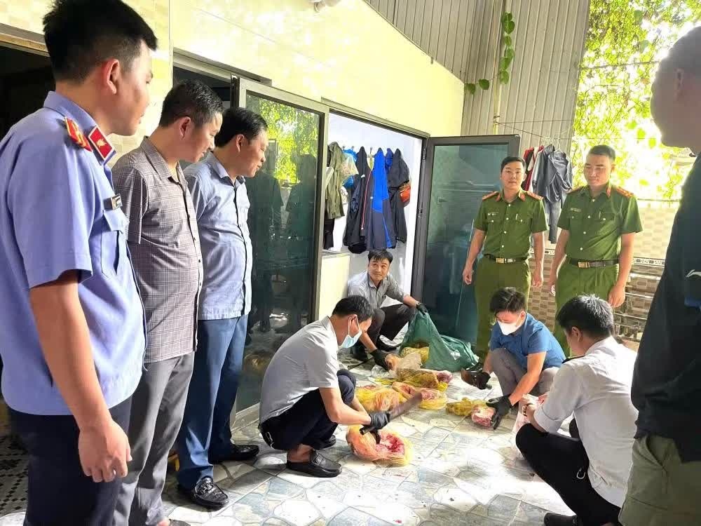 thu mua lon benh,  cap dong,  ban kiem loi anh 1