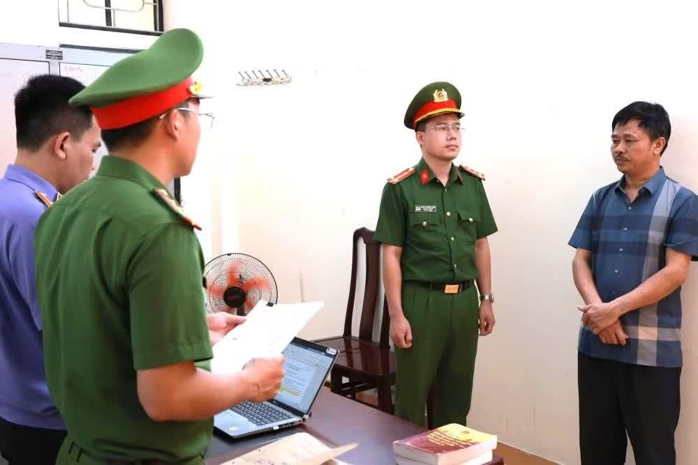 thu mua lon benh,  cap dong,  ban kiem loi anh 2