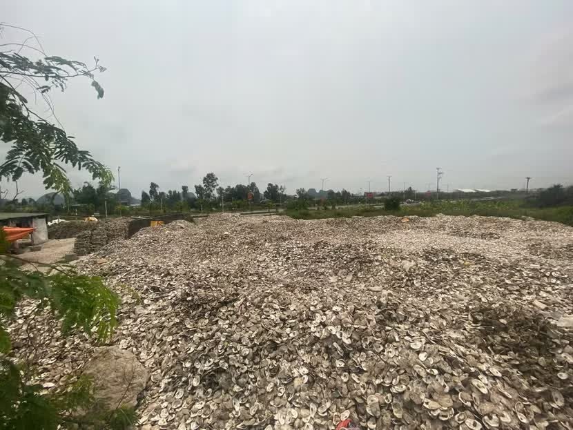Khoi to nguoi phu nu do 324.500 kg vo hau ra moi truong hinh anh