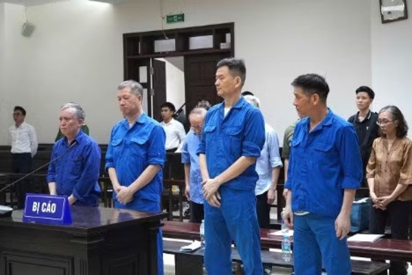 Vi sao cuu Tong giam doc VICEM vang mat tai phien toa phuc tham? hinh anh