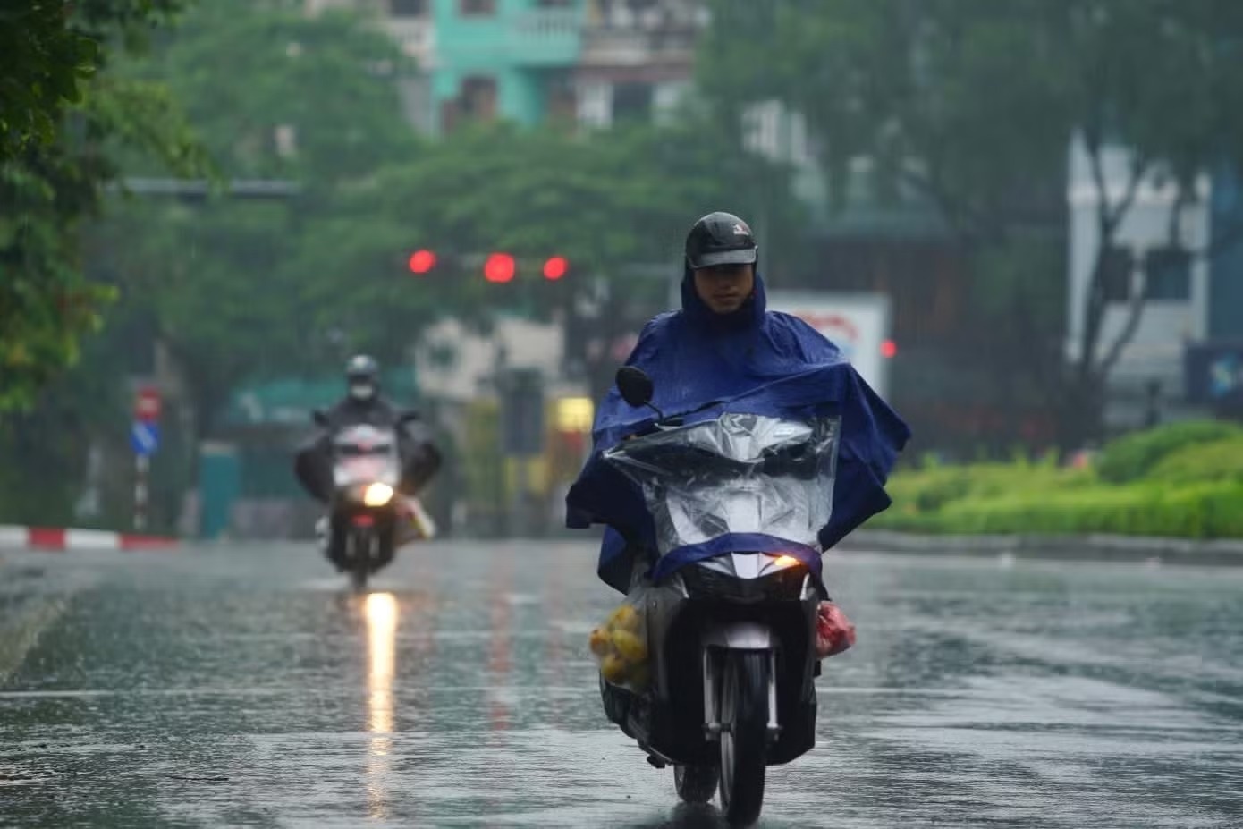 Mien Bac sap don 'mua vang' giai nhiet hinh anh