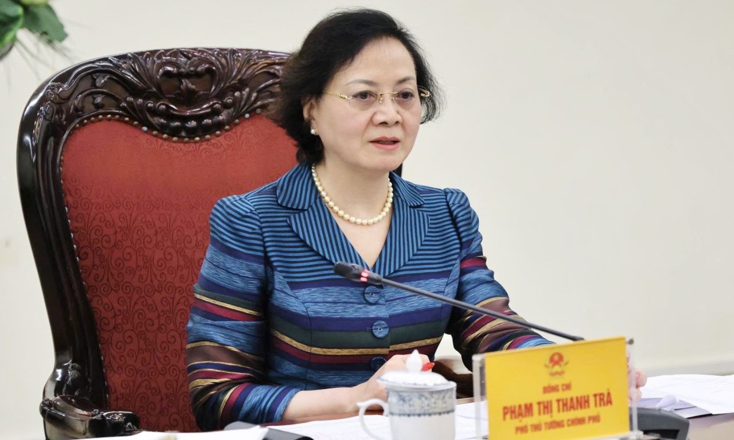 Pho Thu tuong Pham Thi Thanh Tra dam nhan them nhiem vu hinh anh