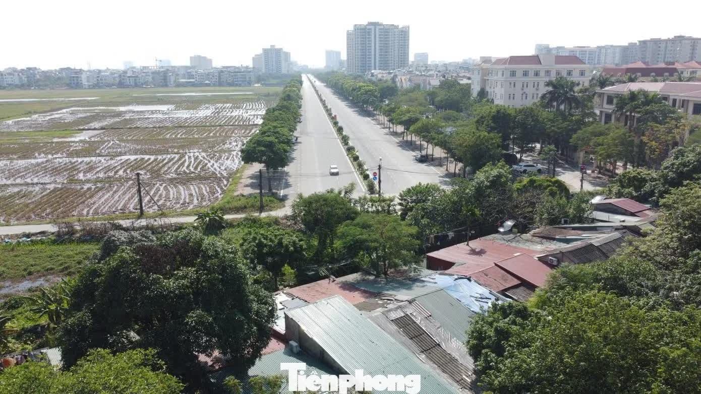 can ho cho thue anh 1