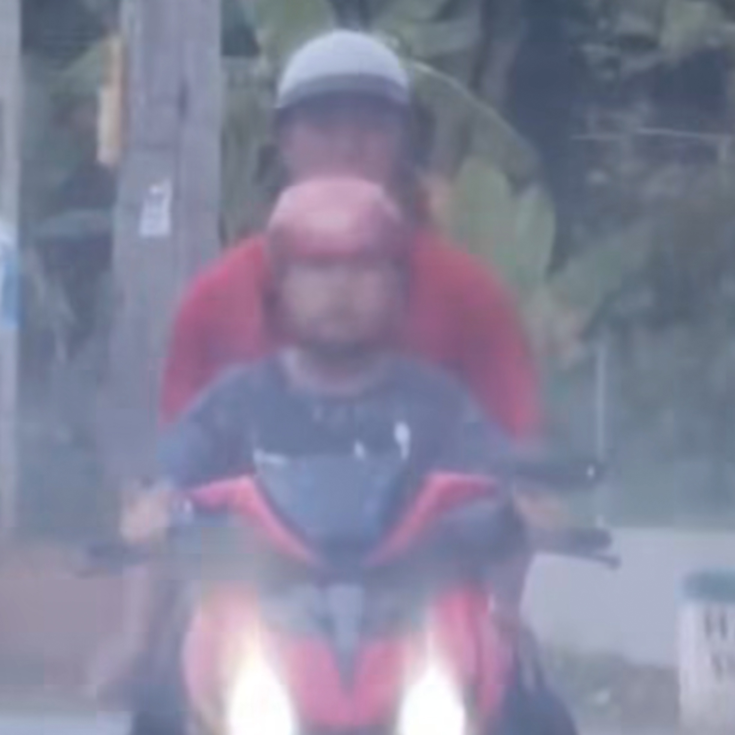 tre lai xe anh 1
