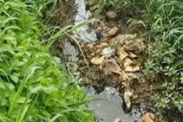 Xu phat 2 co so xa nuoc thai vuot quy chuan tai Hai Phong hinh anh