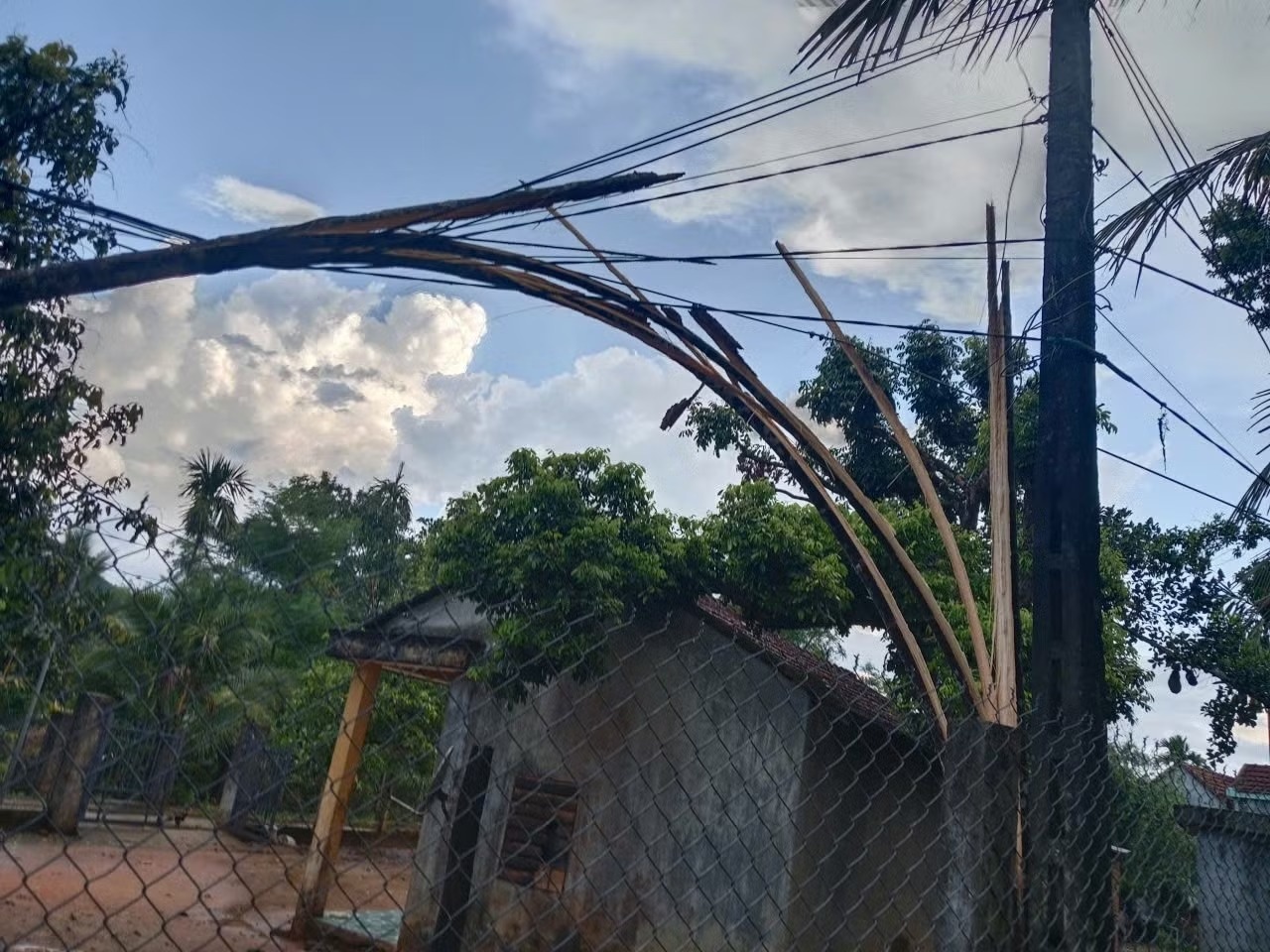 Loc xoay anh 1