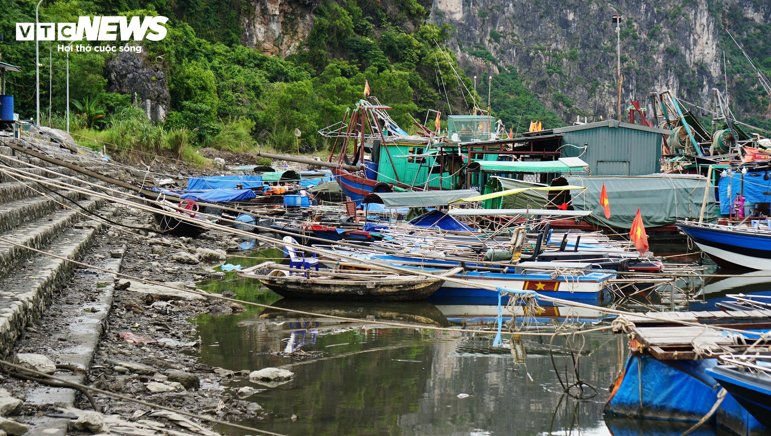 quang ninh anh 1