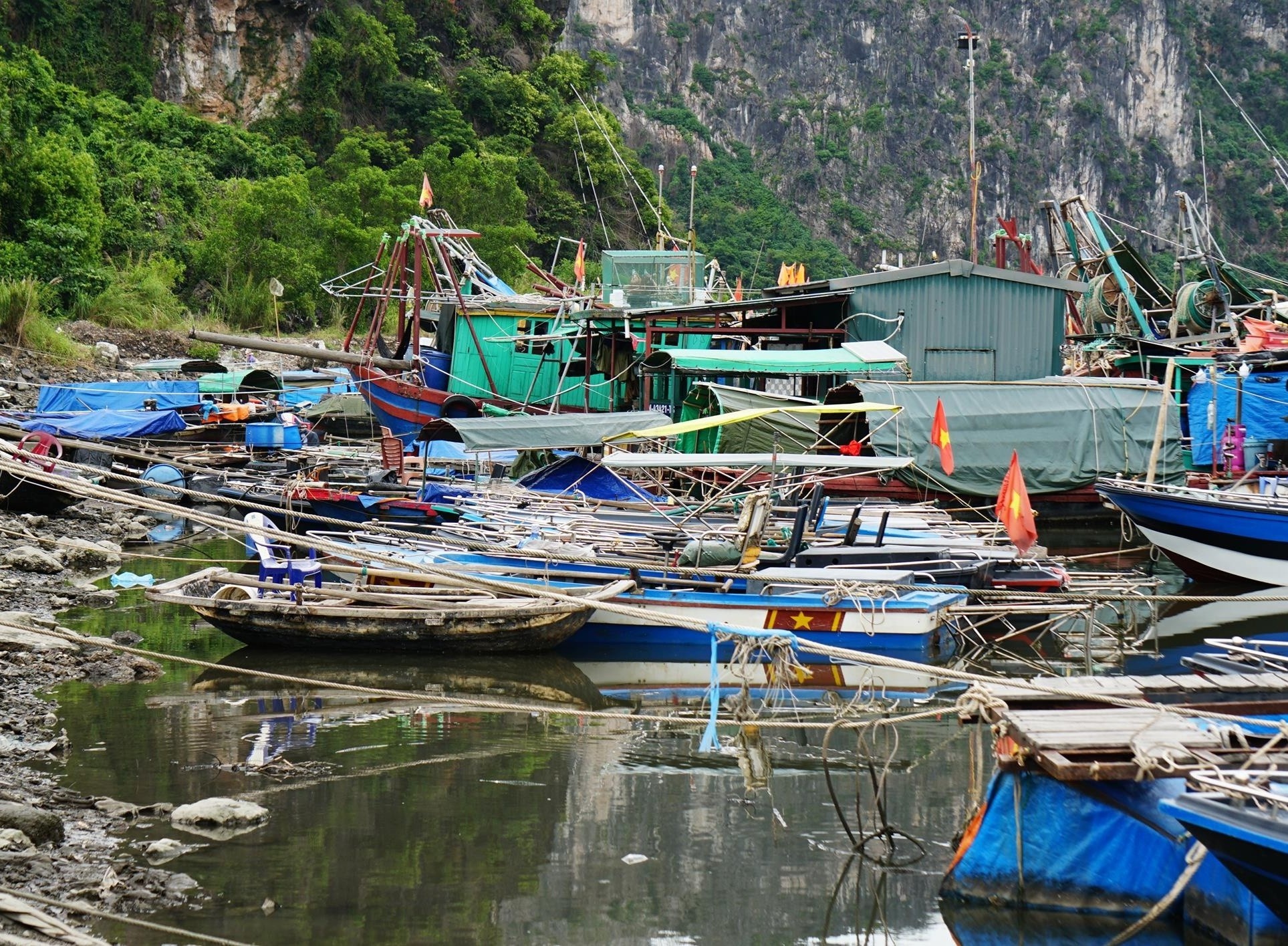Ben cang bi boi lang, ngu dan Quang Ninh chat vat tim noi neo dau tau ca hinh anh