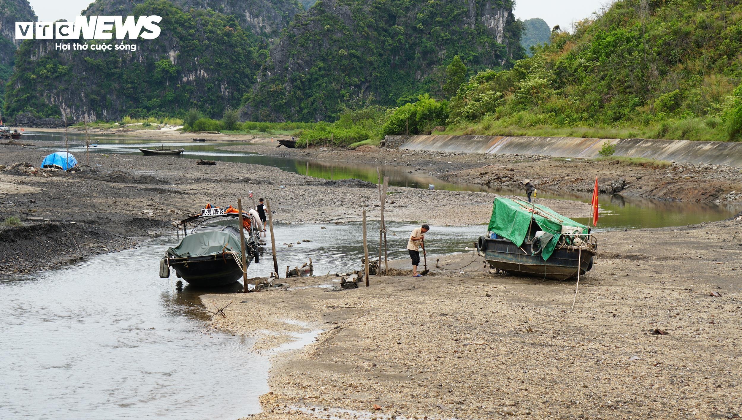 quang ninh anh 2