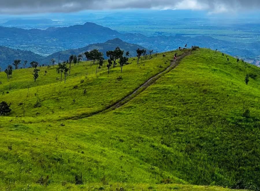 Su dung flycam,  Truy bat doi tuong anh 2