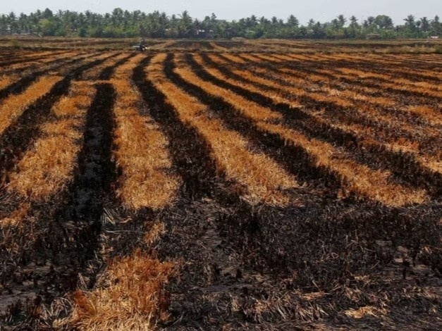 Kha nang El Nino rat manh: Viet Nam doi mat nhieu dot nang nong, bao manh hinh anh