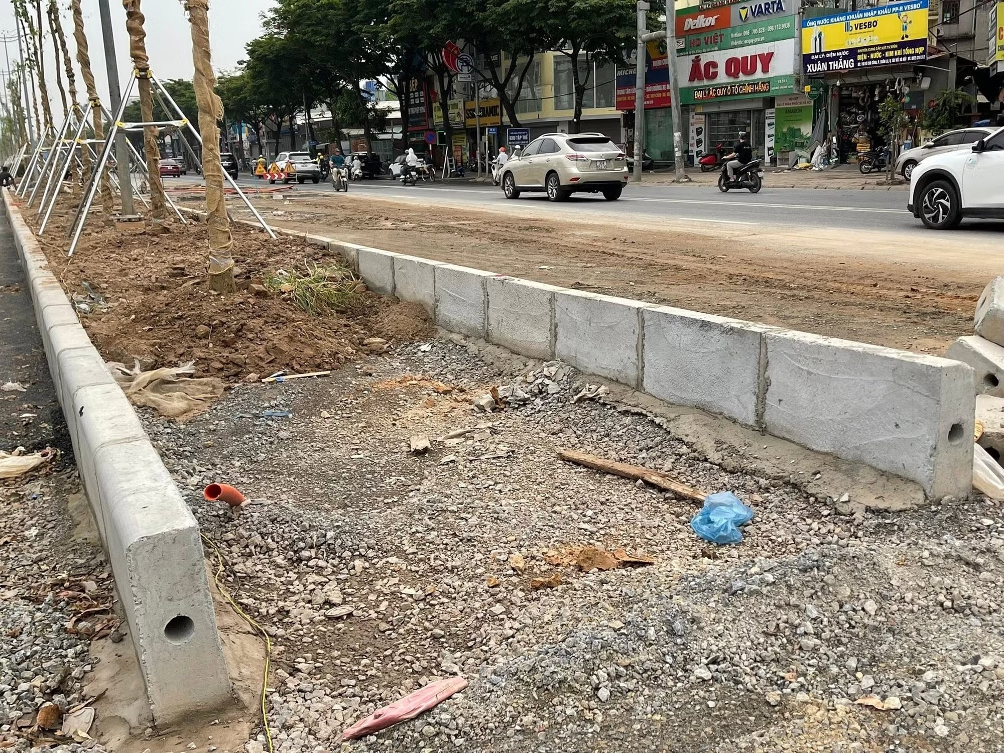 Trong cay xanh tren nen da base dai phan cach duong, chu dau tu noi gi? hinh anh