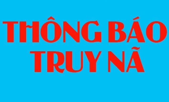 Truy na doi tuong to chuc cho nguoi khac tron di nuoc ngoai hinh anh