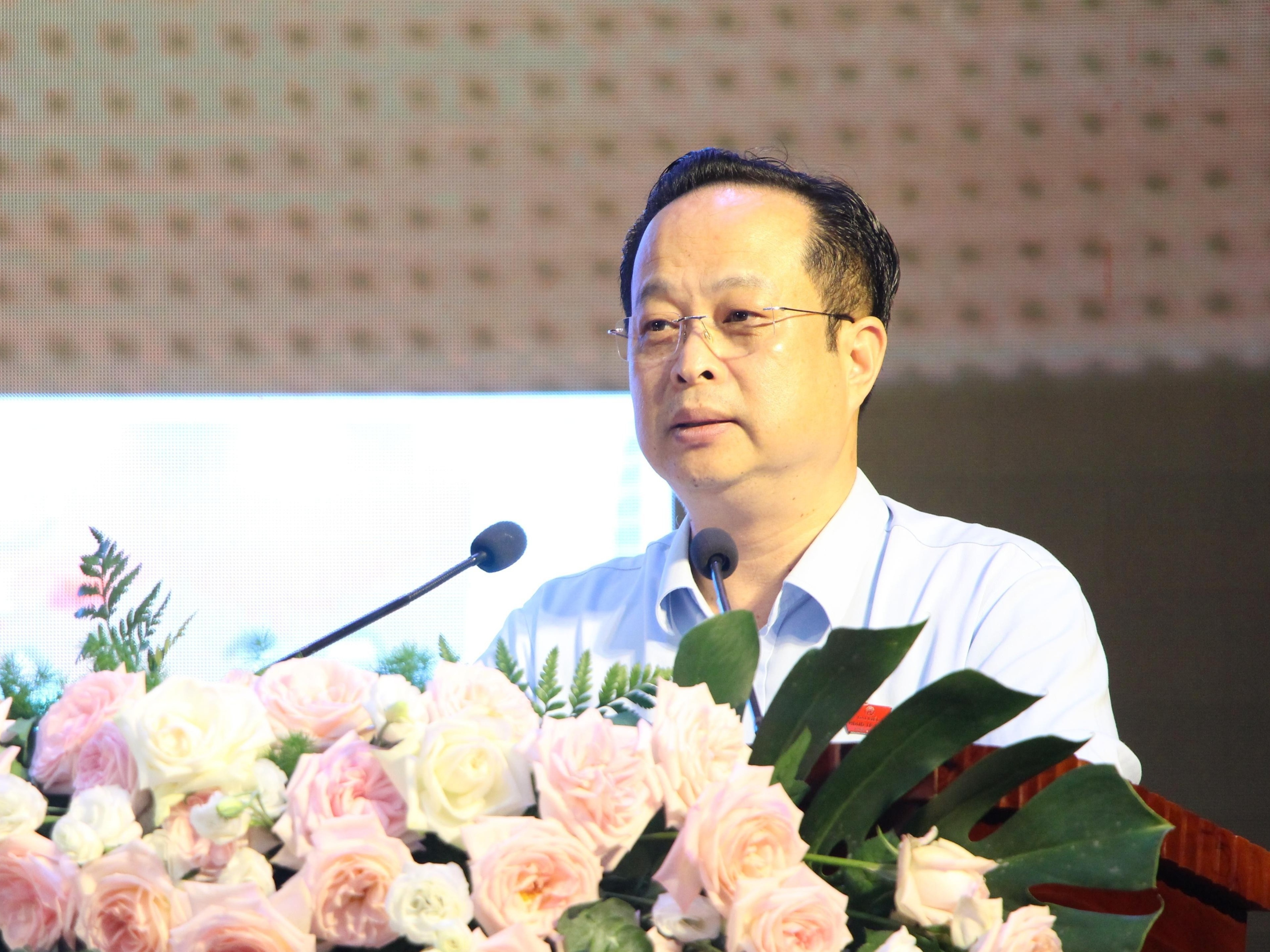 Pho chu tich Thuong truc HDND Ha Noi: 'Bay gio khong voi khong duoc' hinh anh