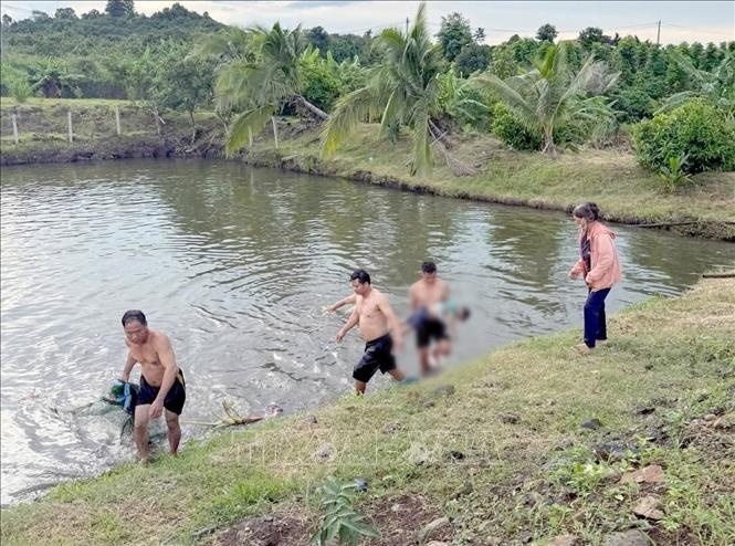 Hai chau nho duoi nuoc thuong tam trong ao gan nha hinh anh