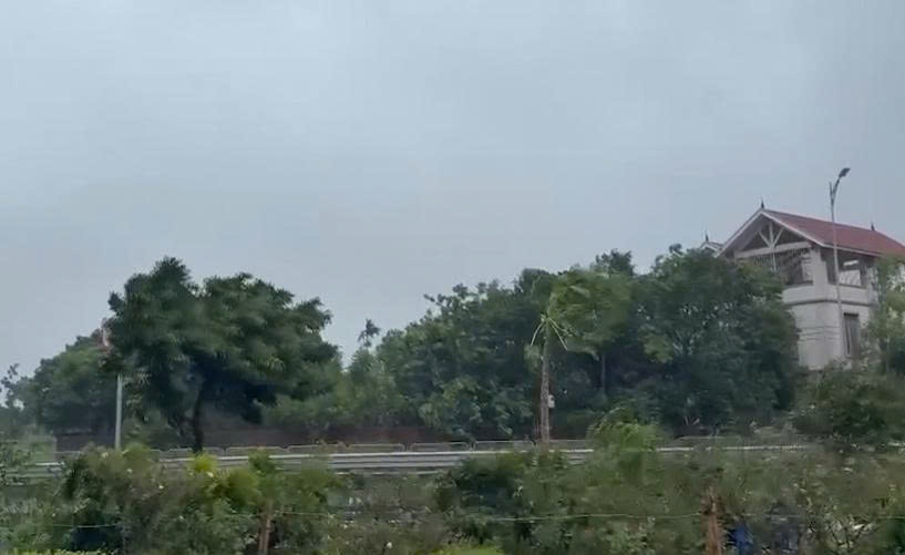 Video gio bao so 1 o Quang Ninh hinh anh