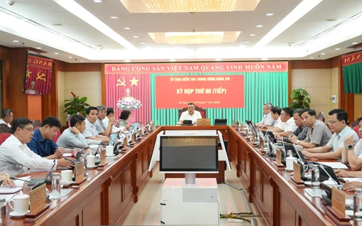 Uy ban KTTW ky luat dang vien vi pham tai 4 tinh va TCT hang khong Viet Nam hinh anh